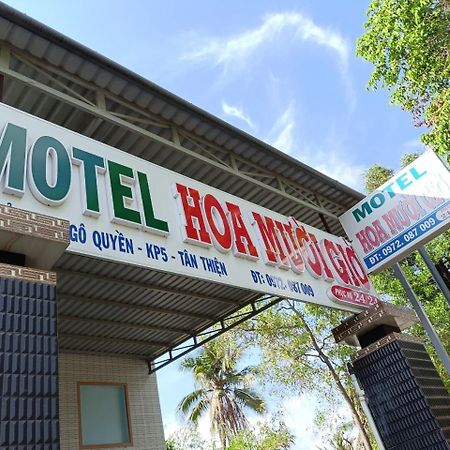 Nha Nghi Hoa Muoi Gio Hotel Tan Tao Ngoại thất bức ảnh